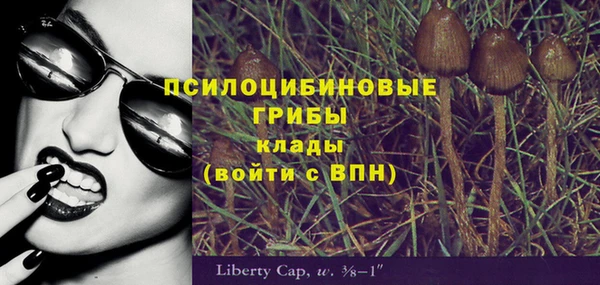 бошки Балахна