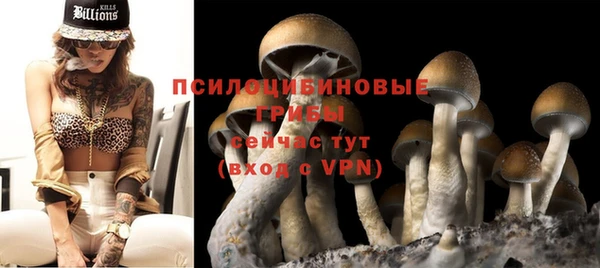 бошки Балахна
