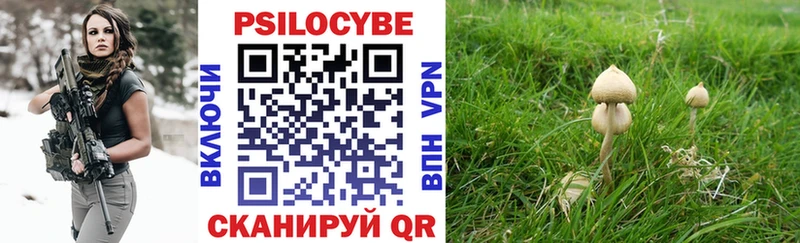 Галлюциногенные грибы Psilocybe  купить наркотик  Реутов 